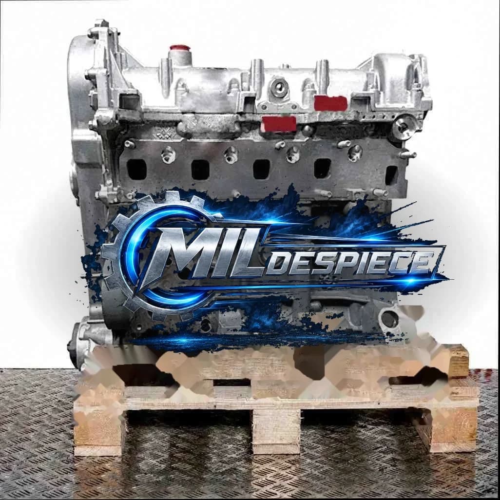 Motor 169A5.000 169A5000 FIAT PANDA 1.3 JTD Multijet 4×4 75CV — imagen 1